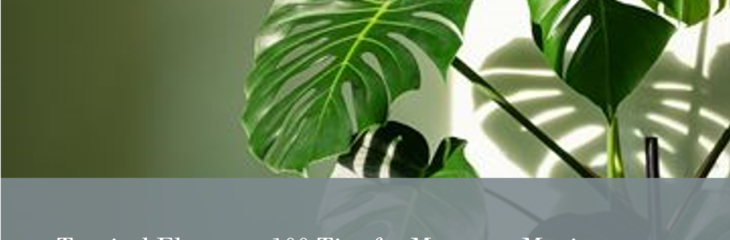 Monstera Magic : 100 Tips for Thriving Tropical Elegance
