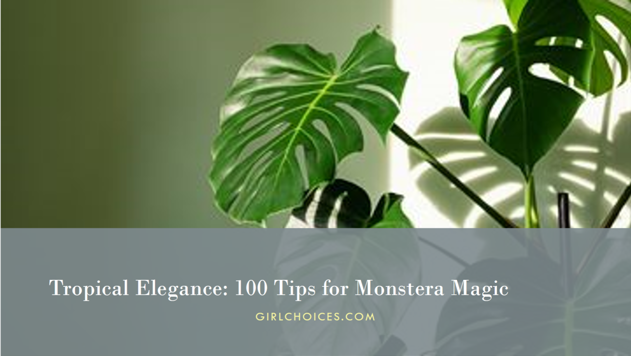 Monstera